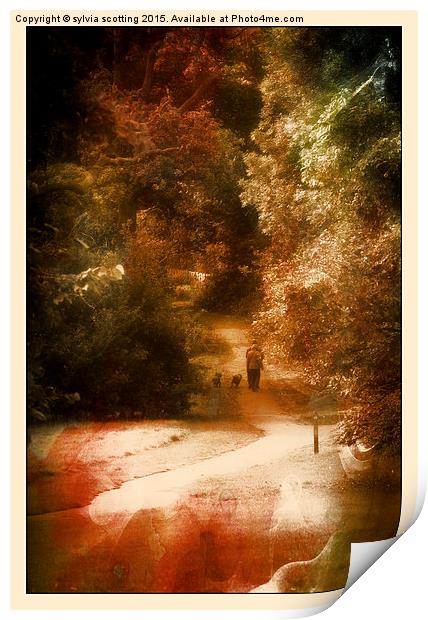  Just walking the dogs Print by sylvia scotting
