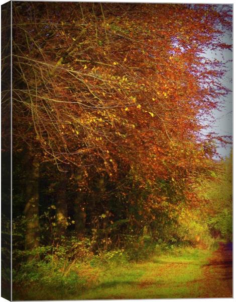  Autumn Lanes. Canvas Print by Heather Goodwin