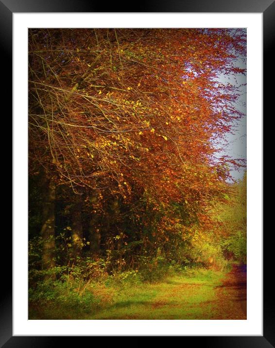  Autumn Lanes. Framed Mounted Print by Heather Goodwin