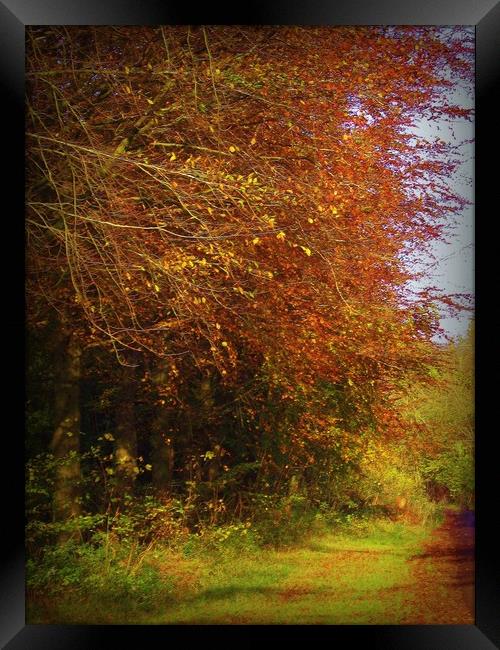  Autumn Lanes. Framed Print by Heather Goodwin