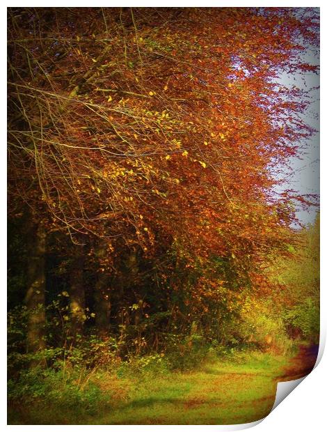  Autumn Lanes. Print by Heather Goodwin