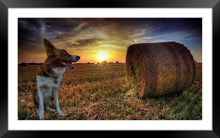 Sunset with Caley Framed Mounted Print by Alan Simpson