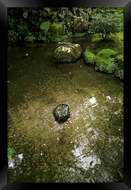  Kyoto Temple Garden Lake Framed Print by david harding