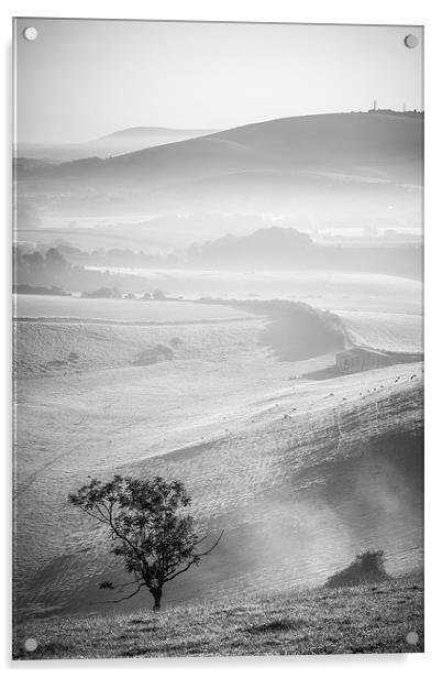 Adur Valley Mist Acrylic by Malcolm McHugh