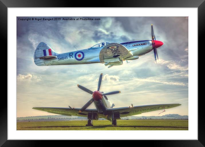  Supermarine Spitfire FR MkXVIIIe Composite Framed Mounted Print by Nigel Bangert