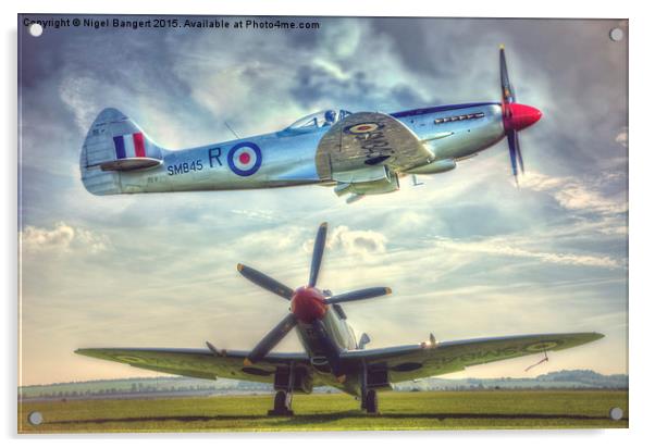 Supermarine Spitfire FR MkXVIIIe Composite Acrylic by Nigel Bangert