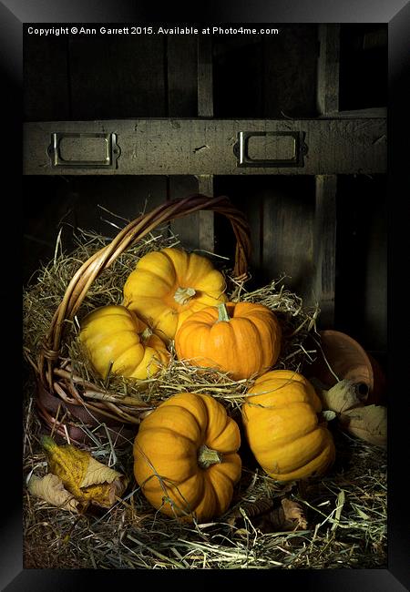 Pumpkins in a Basket 2 Framed Print by Ann Garrett