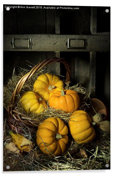 Pumpkins in a Basket 2 Acrylic by Ann Garrett