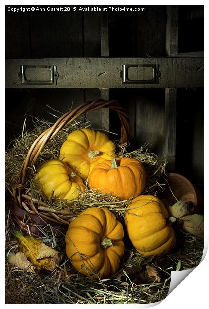 Pumpkins in a Basket 2 Print by Ann Garrett
