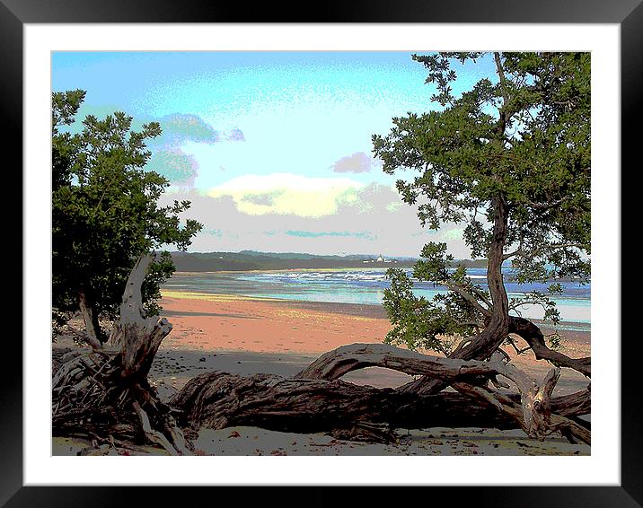 At Pink Beach in Costa Rica  Framed Mounted Print by james balzano, jr.
