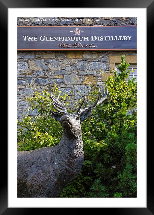  Glenfiddich Deer Framed Mounted Print by Alex Millar