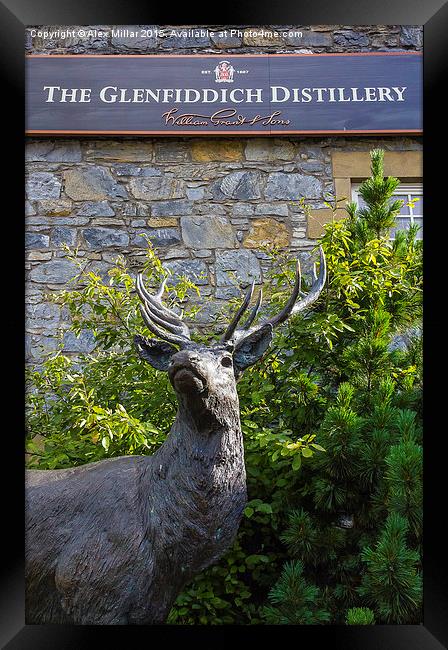 Glenfiddich Deer Framed Print by Alex Millar