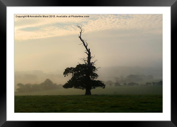 One Misty Autumn Tree. Framed Mounted Print by Annabelle Ward