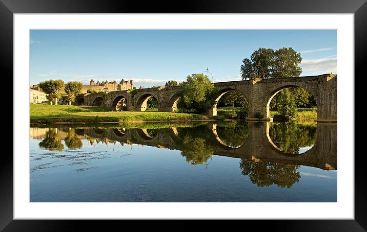  Summer reflections in Carcassonne Framed Mounted Print by Stephen Taylor