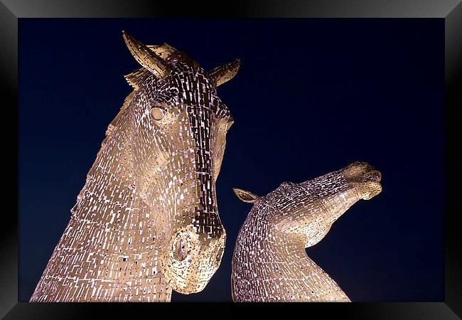 The Kelpies Scotland  Framed Print by Stephen Taylor