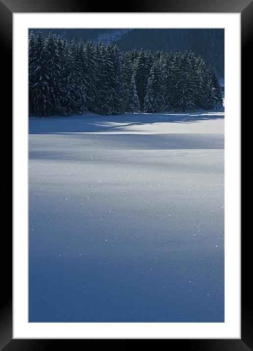 Diamond snow Framed Mounted Print by Thomas Schaeffer