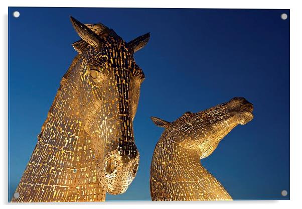  Kelpies at night Acrylic by Stephen Taylor