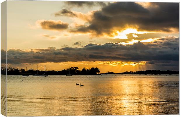 Golden Reflections Canvas Print by Malcolm McHugh