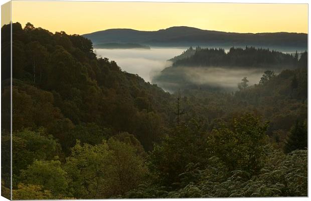  The Queen Elizabeth Forest Canvas Print by Stephen Taylor