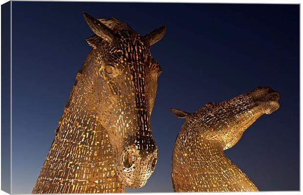  The Kelpies at Falkirk Canvas Print by Stephen Taylor