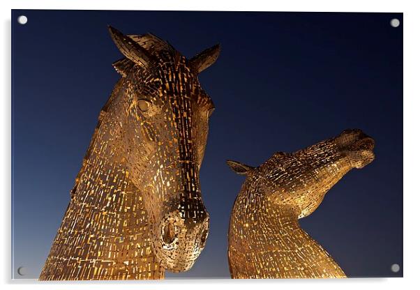  The Kelpies at Falkirk Acrylic by Stephen Taylor