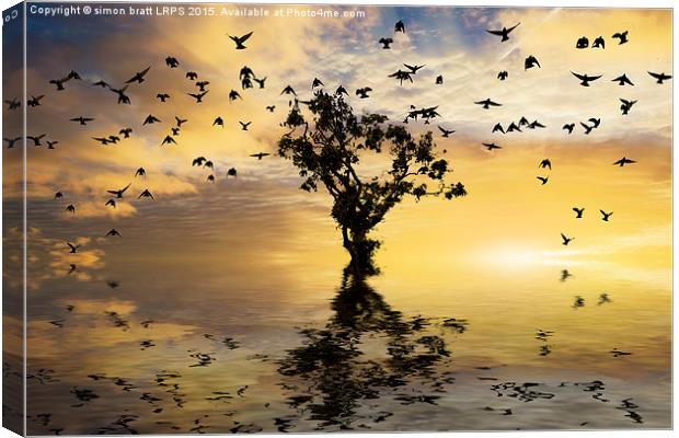 Single tree sunrise and birds Canvas Print by Simon Bratt LRPS