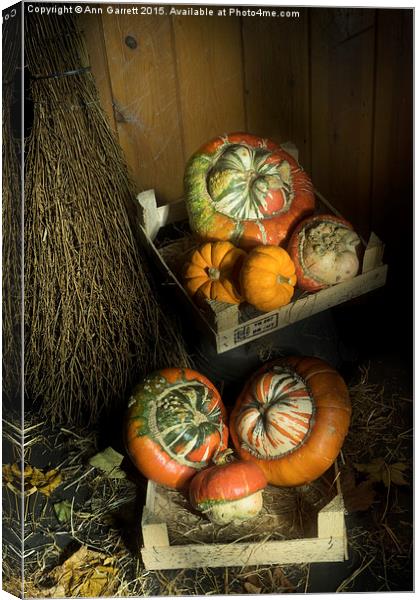 Ornamental Pumpkins 2 Canvas Print by Ann Garrett