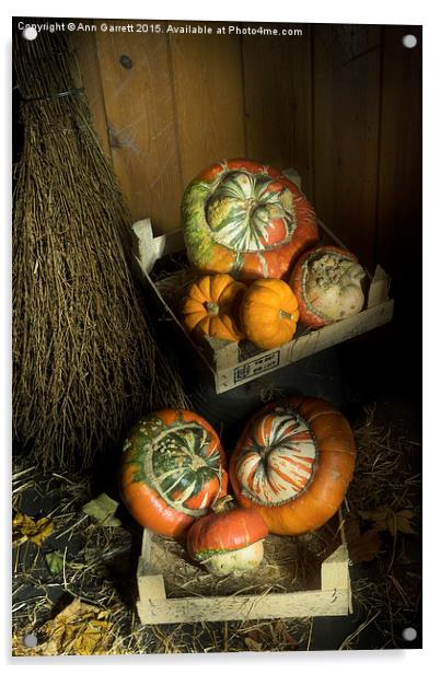 Ornamental Pumpkins 2 Acrylic by Ann Garrett