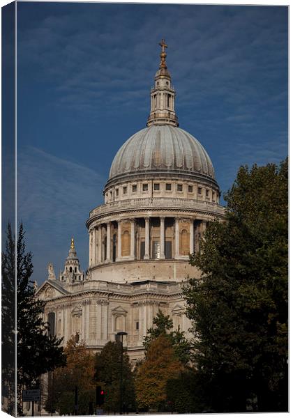  St Paul's Cathedral Canvas Print by Nigel Jones