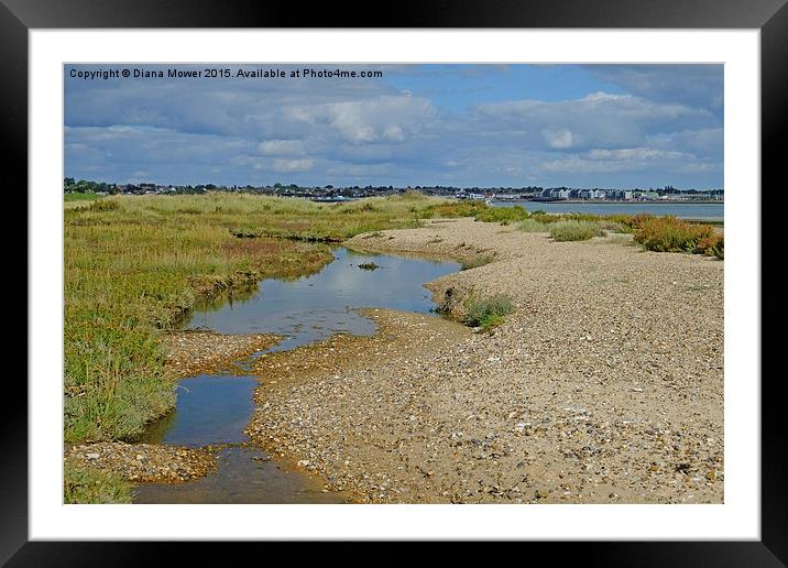  Mersea Stone  Framed Mounted Print by Diana Mower