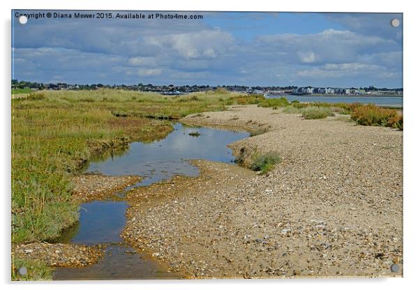  Mersea Stone  Acrylic by Diana Mower