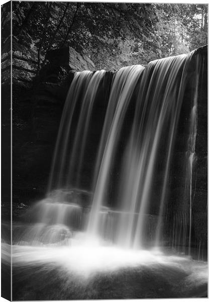 Cascade  Canvas Print by Jed Pearson