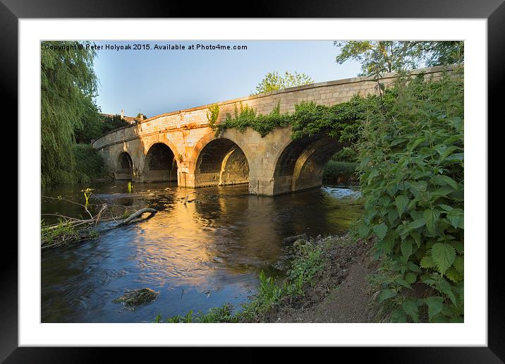 River Bridge. Framed Mounted Print by Pete Holyoak