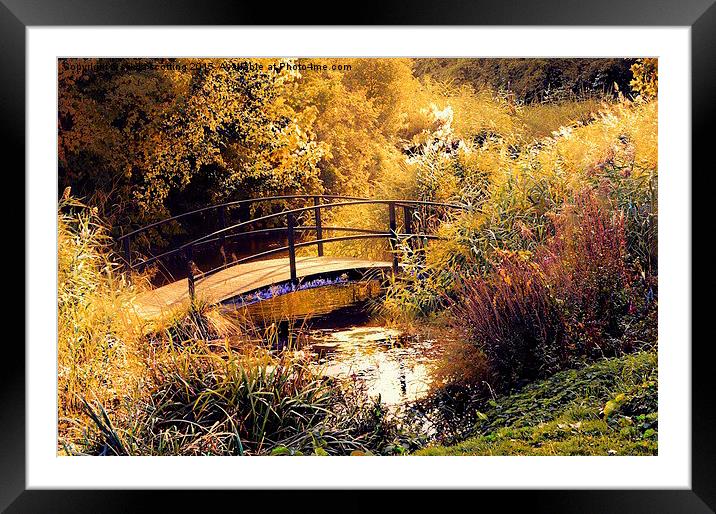  Golden Morning in Kent Framed Mounted Print by sylvia scotting