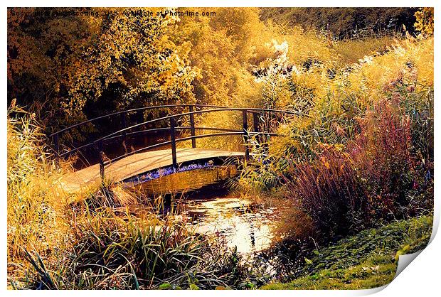  Golden Morning in Kent Print by sylvia scotting