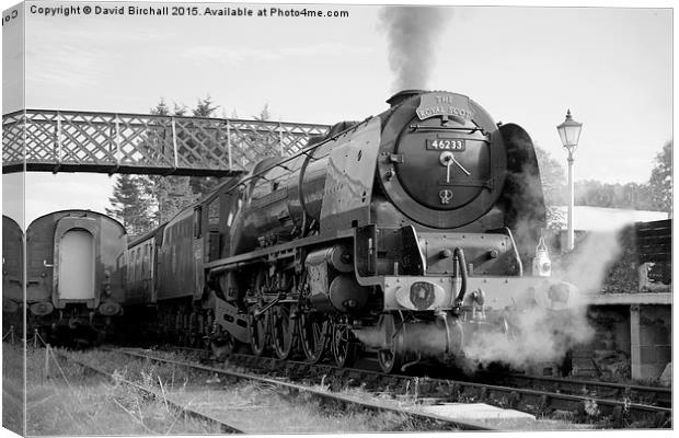 The Royal Scot in Black and White  Canvas Print by David Birchall