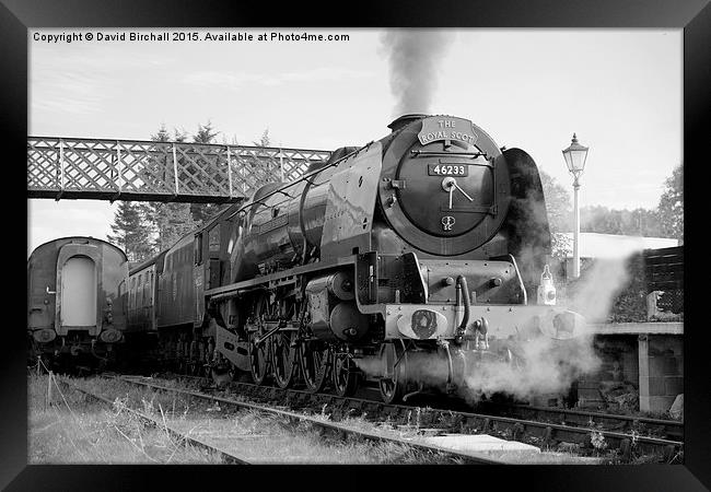 The Royal Scot in Black and White  Framed Print by David Birchall