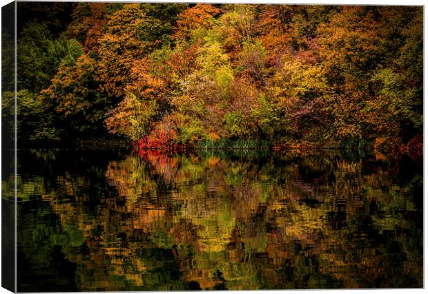  Autumn Canvas Print by Laura Kenny