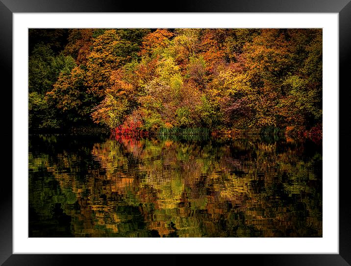  Autumn Framed Mounted Print by Laura Kenny