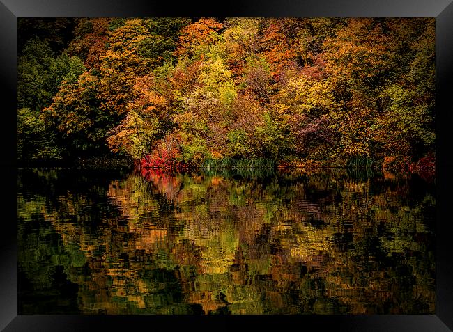  Autumn Framed Print by Laura Kenny