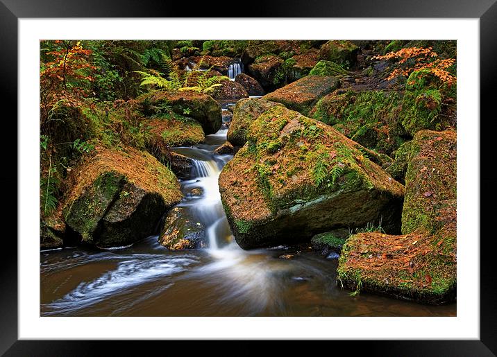 Wyming Brook Falls in Autumn Framed Mounted Print by Darren Galpin