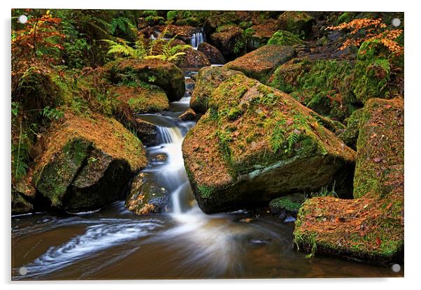 Wyming Brook Falls in Autumn Acrylic by Darren Galpin