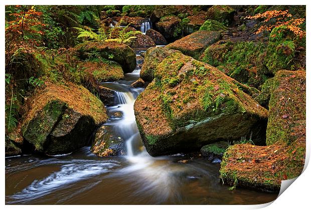 Wyming Brook Falls in Autumn Print by Darren Galpin