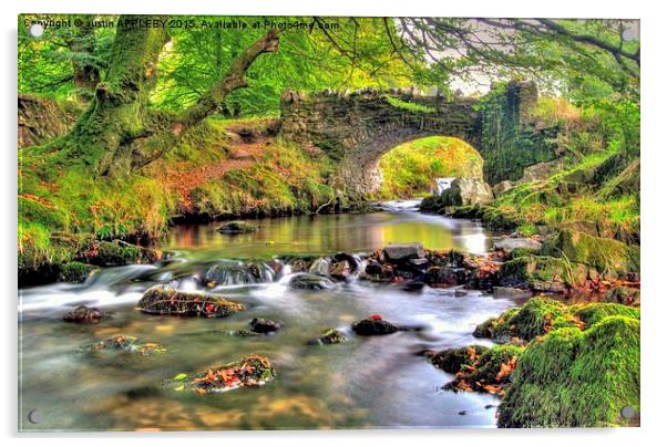  Robber's Bridge Doone Valley Exmoor Acrylic by austin APPLEBY