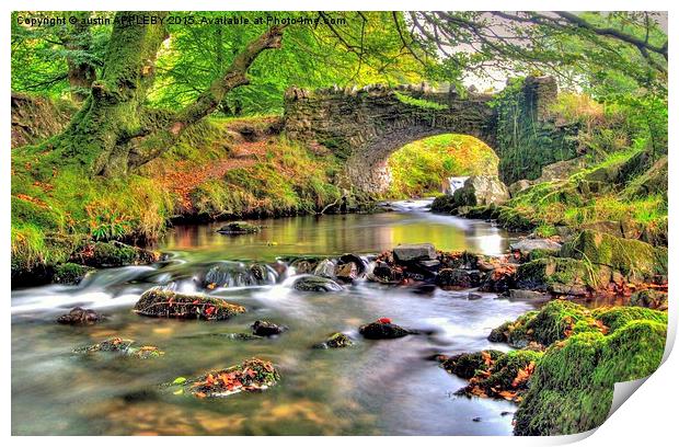  Robber's Bridge Doone Valley Exmoor Print by austin APPLEBY