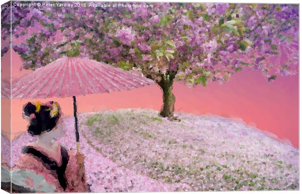  Cherry Blossom With Geisha Canvas Print by Peter Yardley