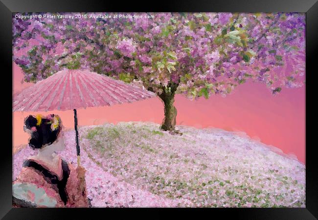  Cherry Blossom With Geisha Framed Print by Peter Yardley