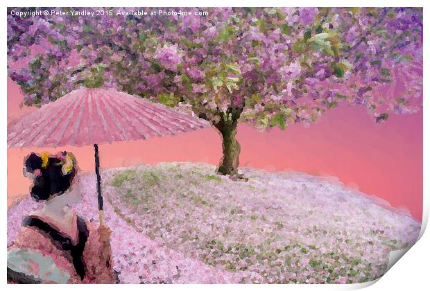  Cherry Blossom With Geisha Print by Peter Yardley