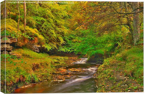  Hamsterley Forest in Autumn Canvas Print by Martyn Arnold