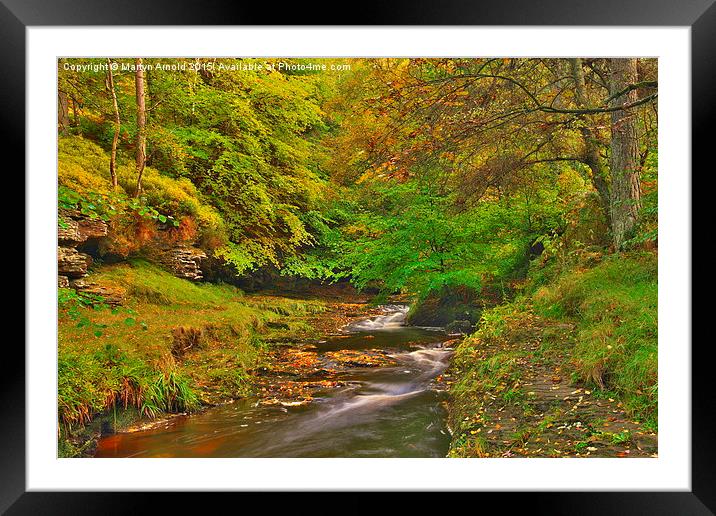  Hamsterley Forest in Autumn Framed Mounted Print by Martyn Arnold